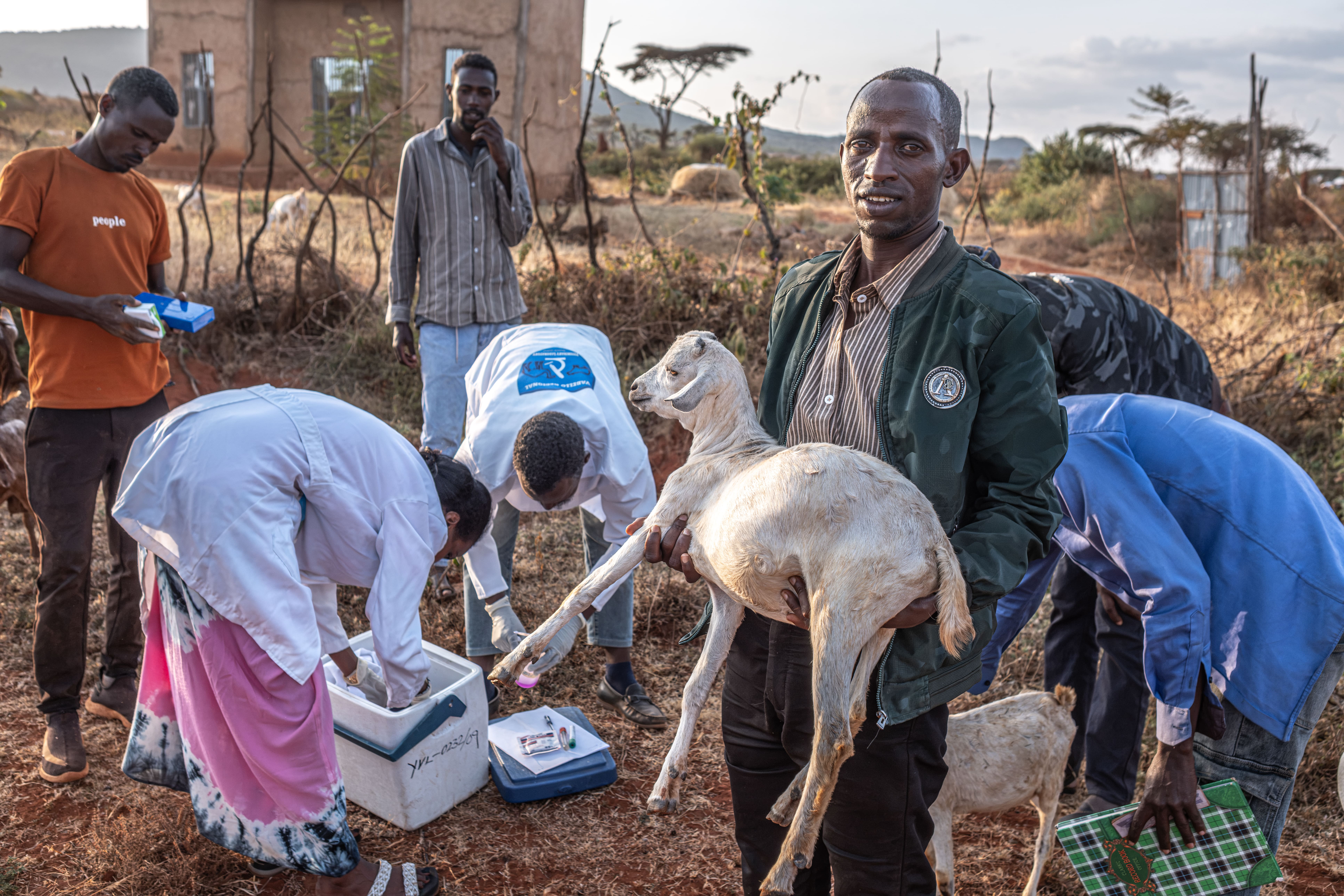 Ethiopia’s Borana: Protecting Herds and Livelihoods